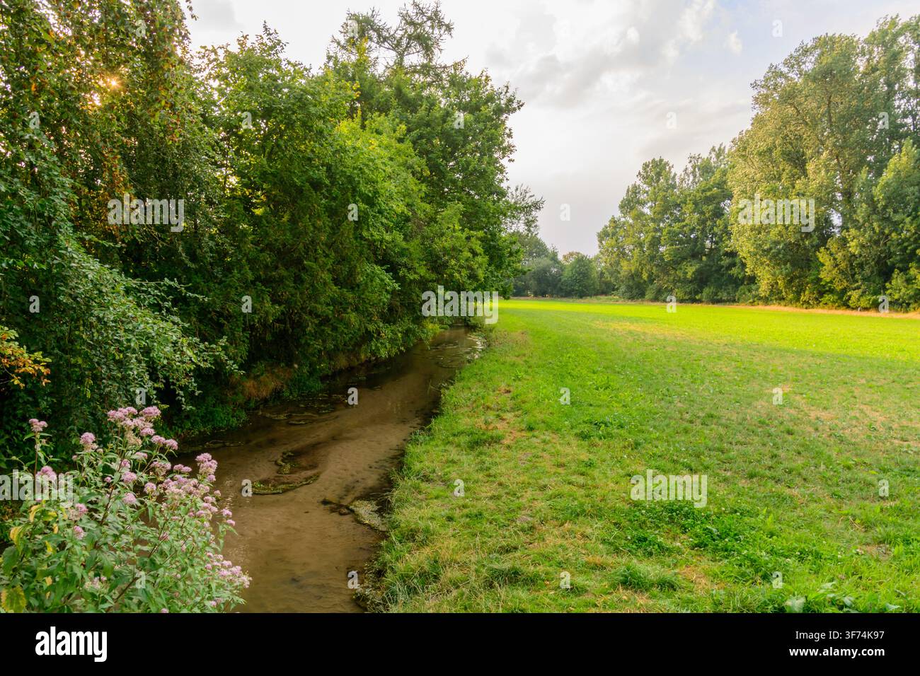 Piccolo ruscello rurale che scorre lungo un prato verde e il bordo della foresta a Coesfeld, Germania Foto Stock