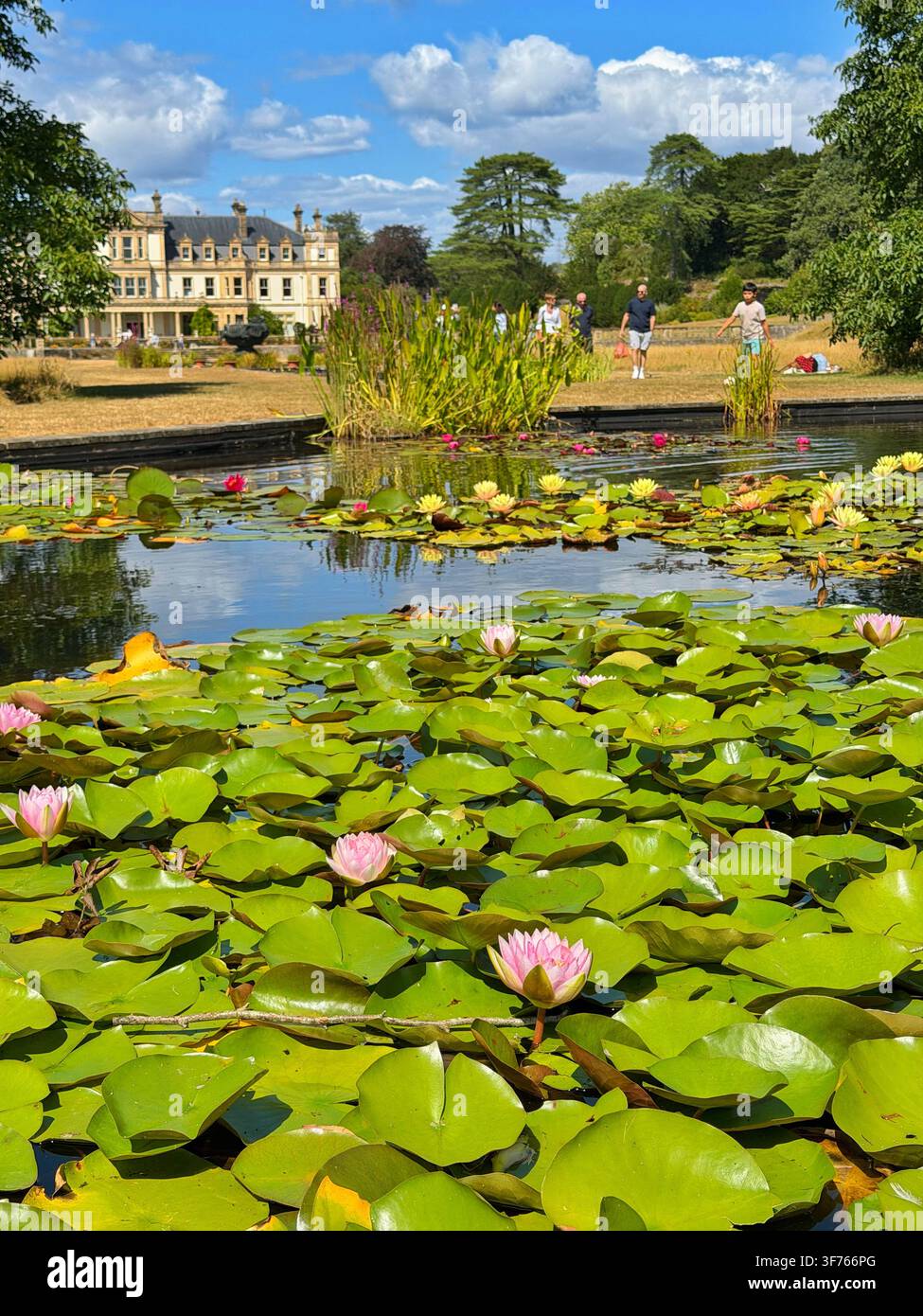 Giardini di Dyffryn, Vale of Glamorgan, proprietà del National Trust, estate 2026. Foto Stock