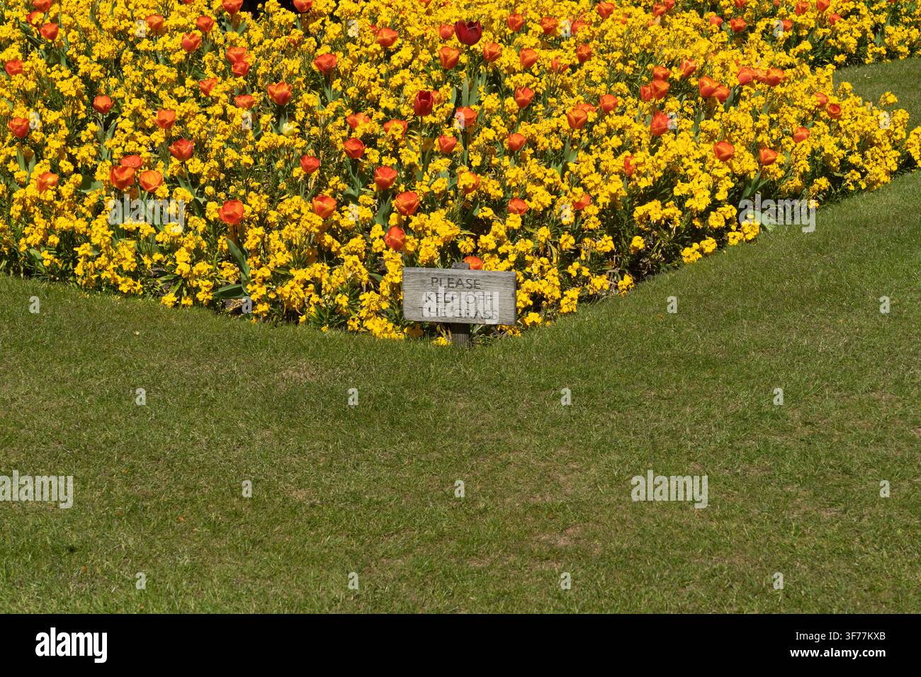 Tulipi e garofani vivaci ai giardini commemorativi della Regina Vittoria, Buckingham Palace, preservati da un appello a non calpestare il prato. Foto Stock