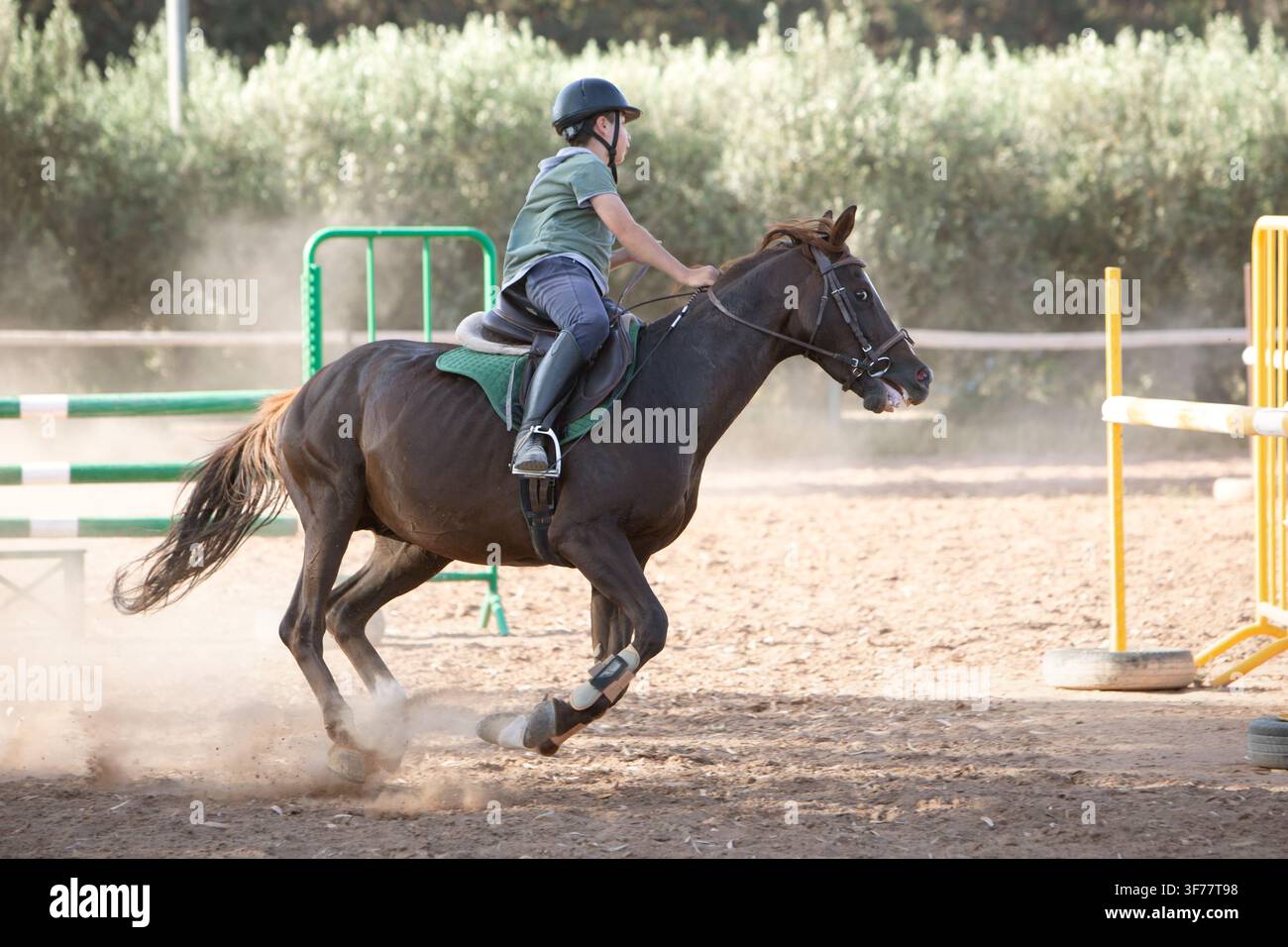 Giovane cavaliere che cavalca un cavallo marrone in un maneggio all'aperto, indossa un casco protettivo e attrezzatura equestre. Lezione di equitazione Foto Stock
