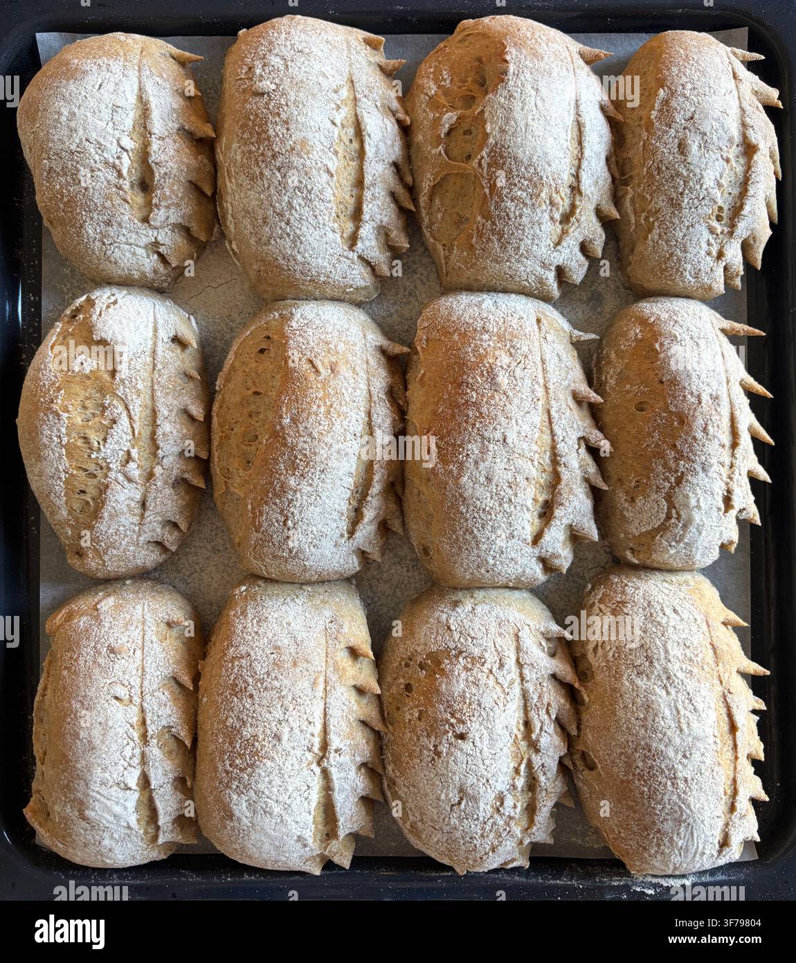 Vista dall'alto di panini fatti a mano appena sfornati con crosta dorata e incisione decorativa. Concetto di qualità della panetteria tradizionale. Foto Stock
