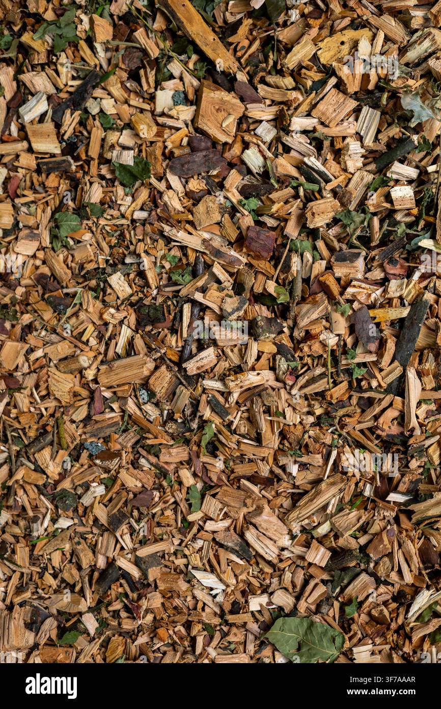 Sfondo a trama di pacciame di legno tritato. Materiale naturale biodegradabile per giardinaggio, paesaggistica e copertura del suolo ecologica Foto Stock