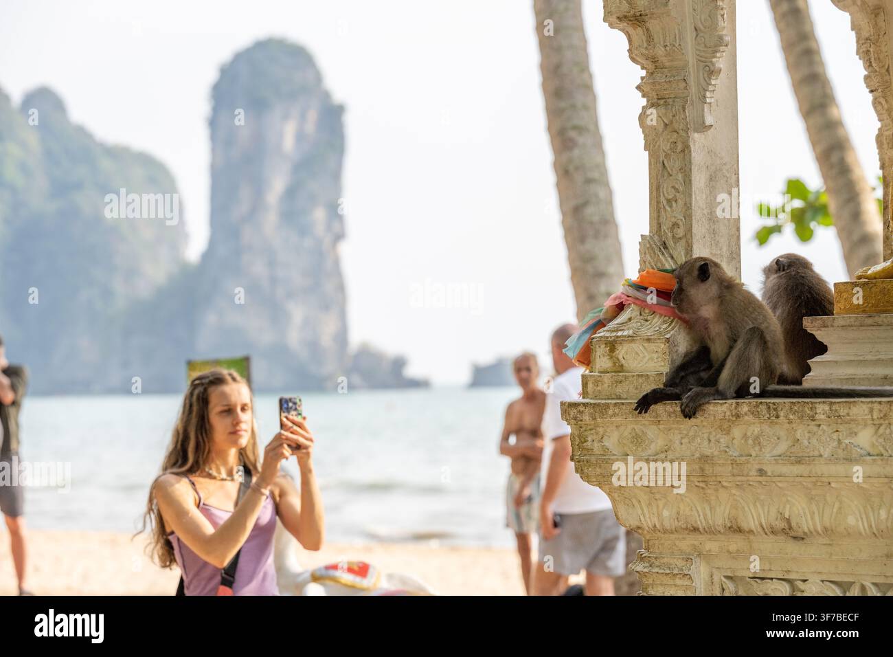 KRABI, THAILANDIA — 23 FEBBRAIO 2026: Una donna non identificata utilizza uno smartphone per fotografare delle scimmie macaque che riposano su un tempio ornato accanto alla spiaggia di Ao Nang. Foto Stock