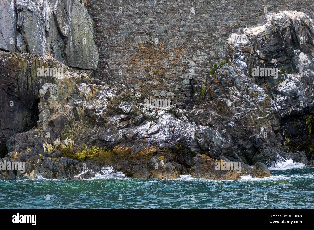 Testa di Bray County Wicklow, Irlanda Foto Stock