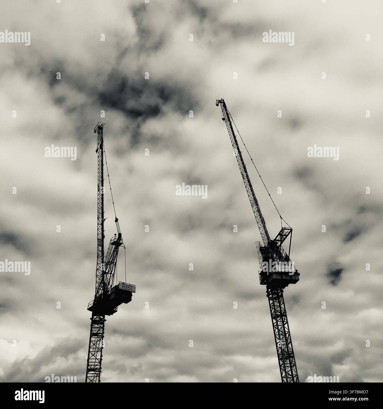 Due gru alte contro un cielo nuvoloso in un ambiente industriale monocromatico, enfatizzando la costruzione Foto Stock