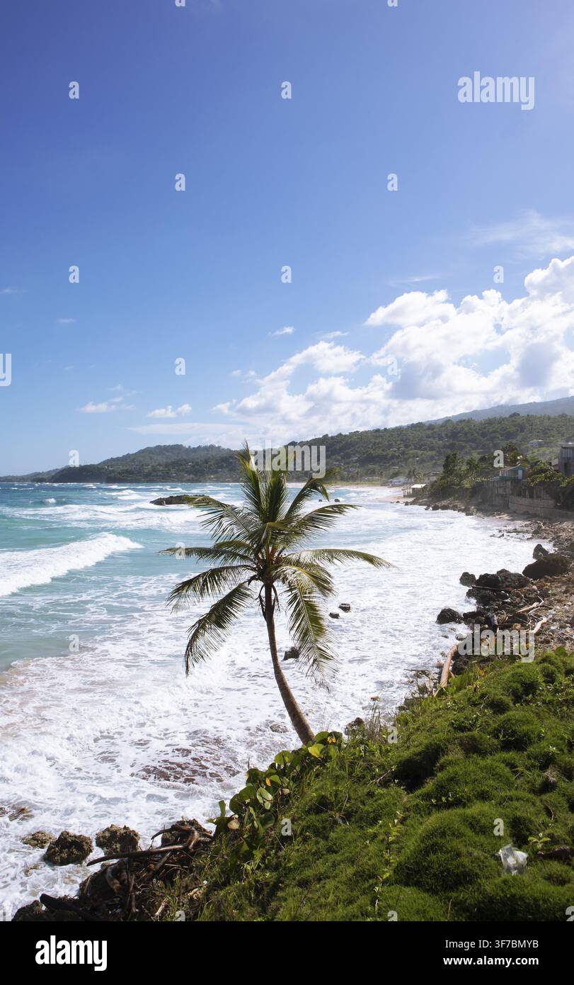 Costa caraibica a Portland Parish, Giamaica, Indie Occidentali, Caraibi, America Centrale Foto Stock