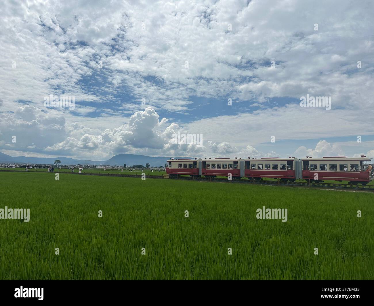 Dali, Yunnan, Cina – 27 luglio 2026: Un treno turistico rosso trasporta i visitatori attraverso verdi campi di riso sotto drammatiche nuvole estive. - Immagine stock catturata con smartphone