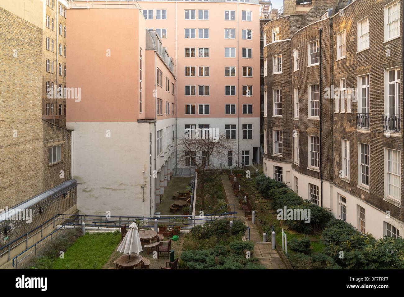 Gli studenti del Goodenough College, a Bloomsbury, utilizzano questo giardino cortile appartato come spazio all'aperto tranquillo per il relax e lo studio. Foto Stock