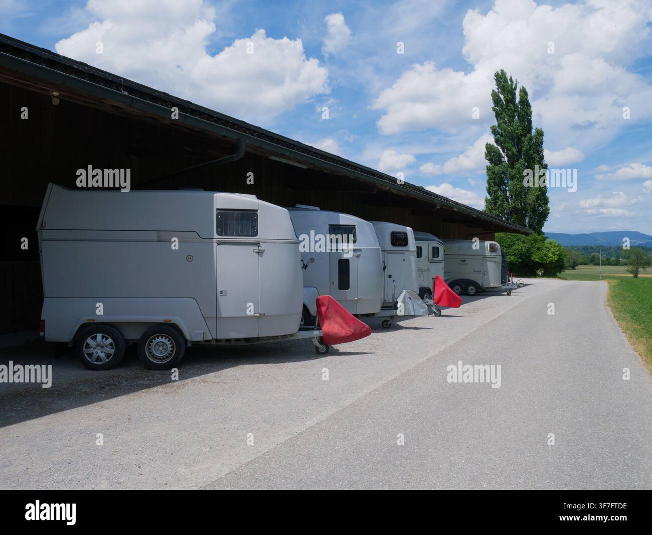 File di rimorchi per cavalli parcheggiati sotto un tetto di legno in una giornata di sole, veicoli da trasporto equestre in campagna. Una fila di rimorchi per cavalli bianchi Foto Stock