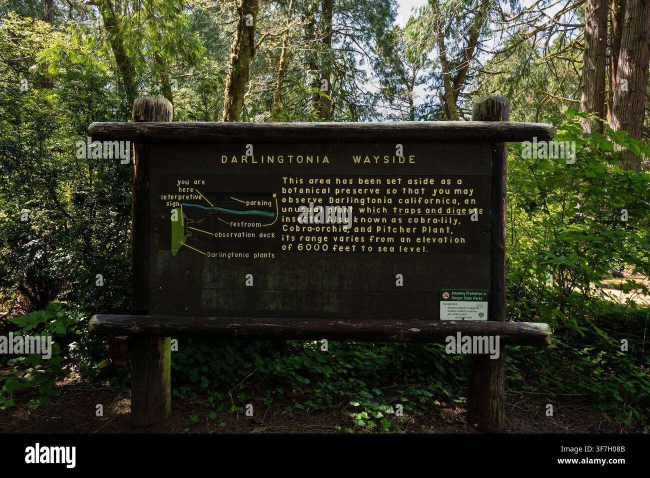 FLORENCE, OR – 14 LUGLIO 2026: Darlingtonia State Natural Site, cartello rustico su una pianta rara protetta dal parco, Giglio Cobra o Darlingtonia Californica Foto Stock