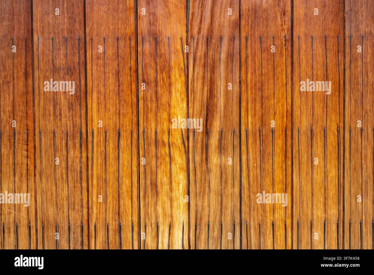 Vena del legno color miele per sfondi. Foto Stock