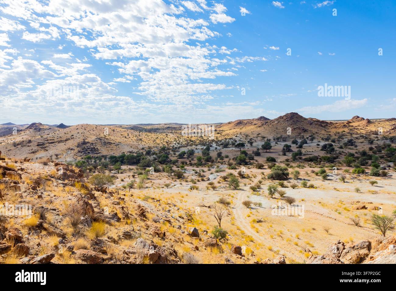 Vedute sparse del deserto nel Parco Nazionale di Augrabies, area arida del Sud Africa Foto Stock