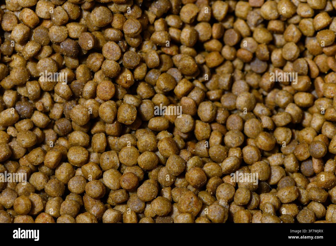 Crocchie di cibo marrone per animali domestici coprono densamente una superficie piatta, in attesa della preparazione del cibo per gli animali amati. Foto Stock