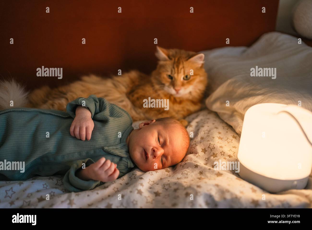 Neonato che dorme profondamente accanto a un gatto arancione vigile, creando un dolce momento di conforto e compagnia in una camera da letto calda con illuminazione soffusa Foto Stock