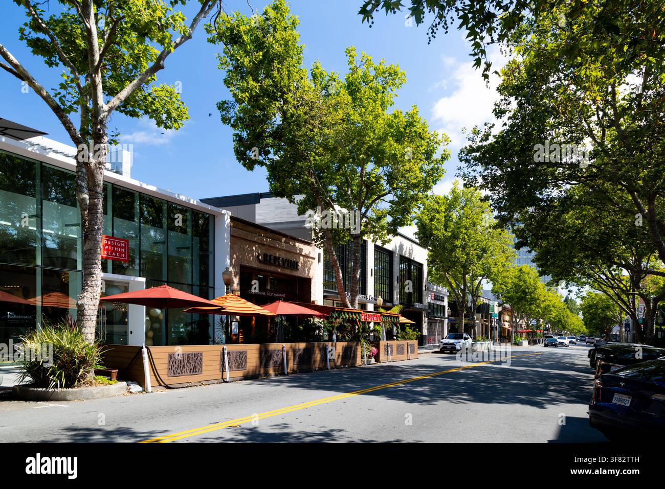 PALO ALTO, USA - 18 GIUGNO 2026: Vista lungo University Avenue con alberi decidui verdi che costeggiano la strada. Le vetrine includono Design Within Reach e C Foto Stock