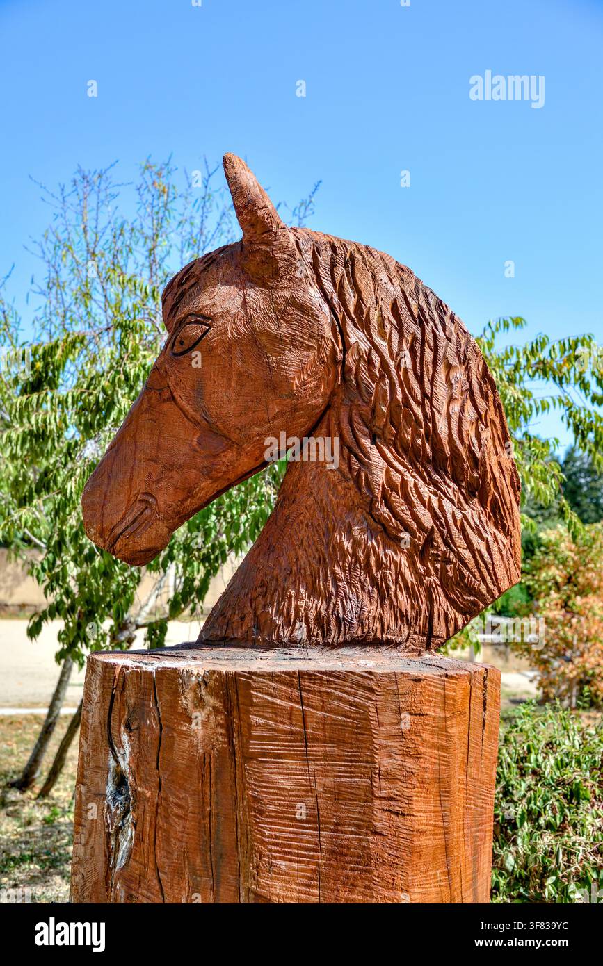 Scultura in legno finemente intagliata di una testa di cavallo nella piazza principale di Saint Savin, Vienne (86), Francia. Foto Stock