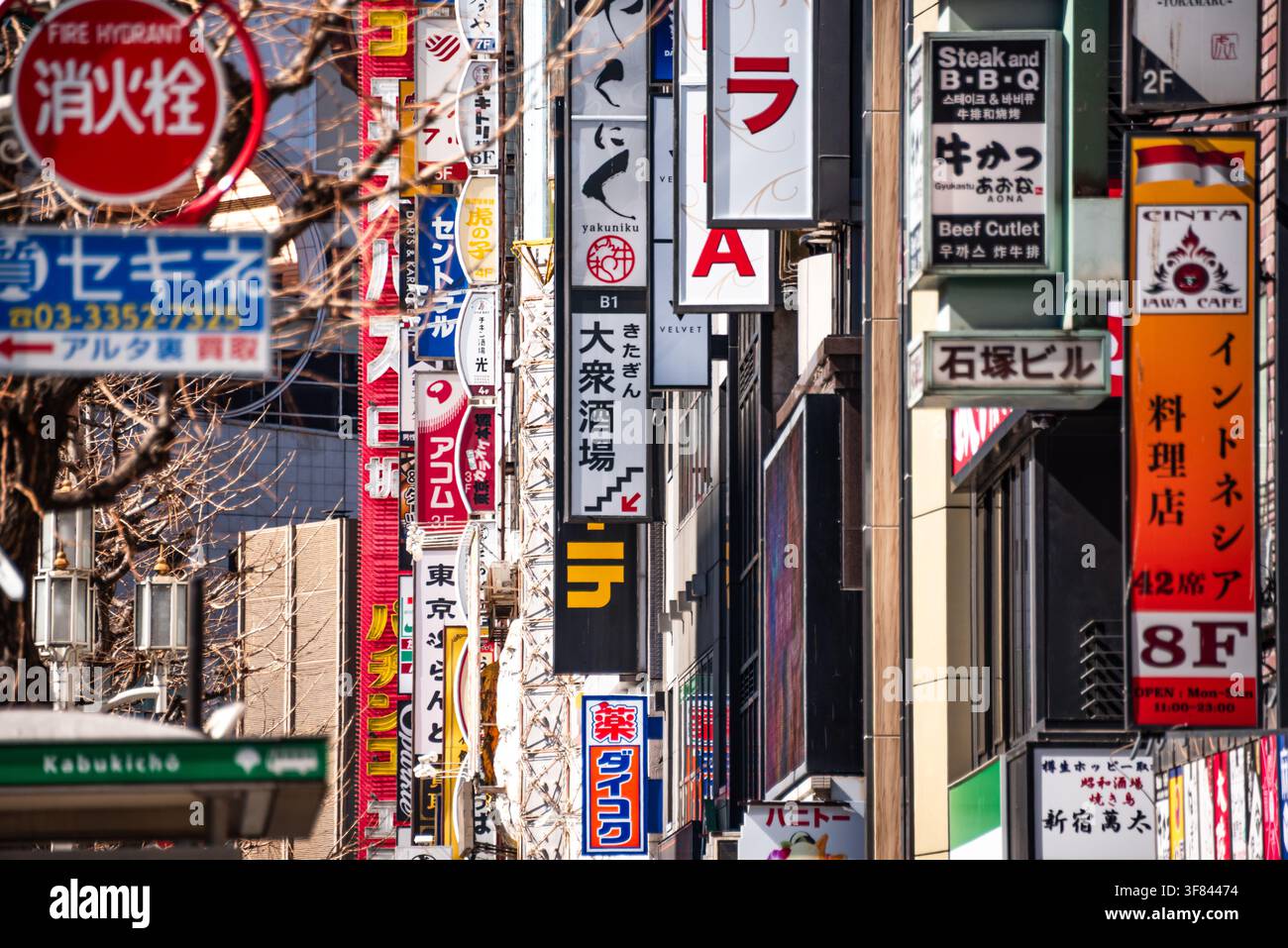 Primo piano di insegne al neon verticali e cartelli di negozi che evidenziano la vivace vita di strada a Kabukich, Shinjuku, Tokyo, Giappone Foto Stock