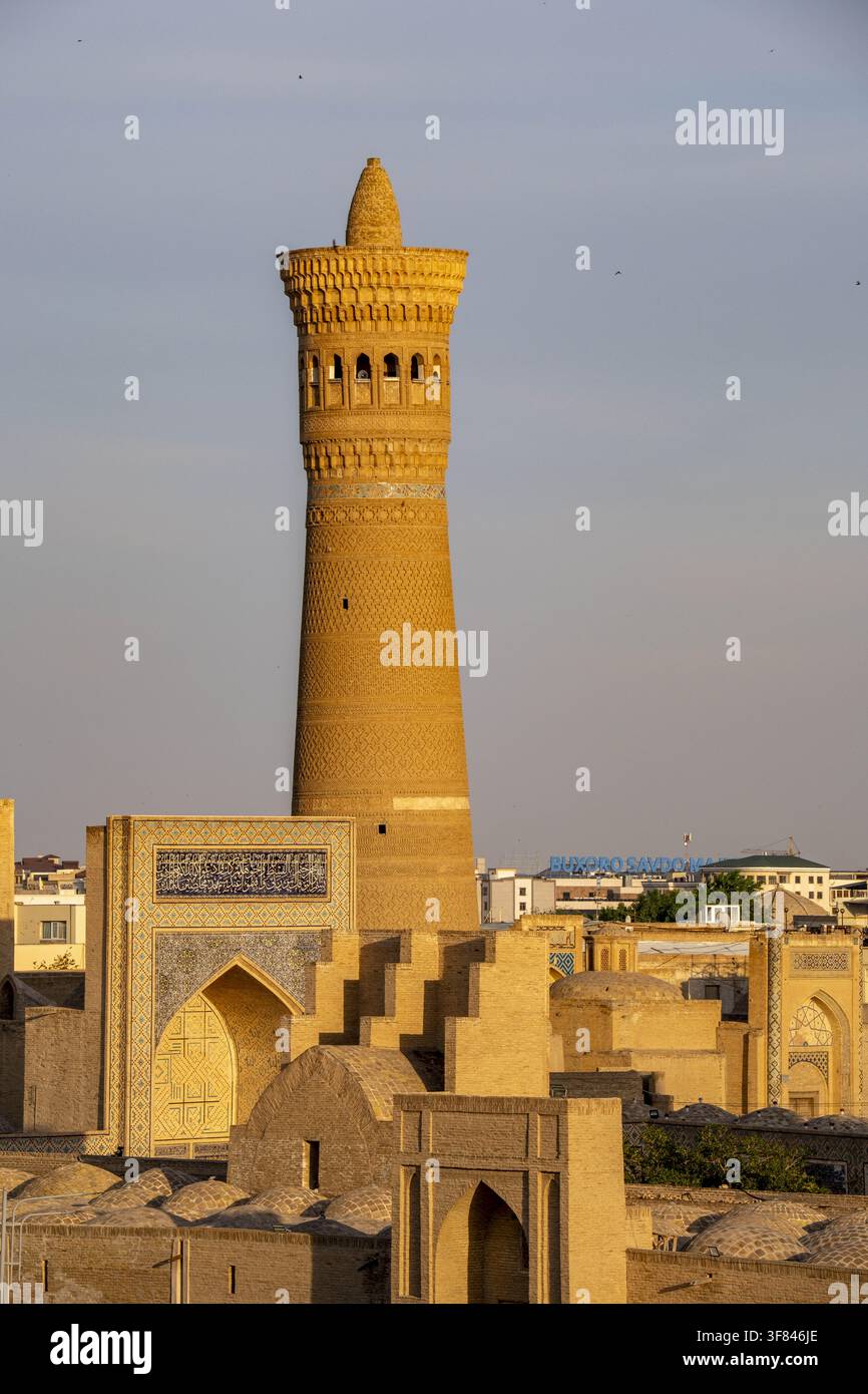 Vista della città di Bukhara dall'Ark della fortezza di Bukhara in Uzbekistan durante le ore del tramonto Foto Stock