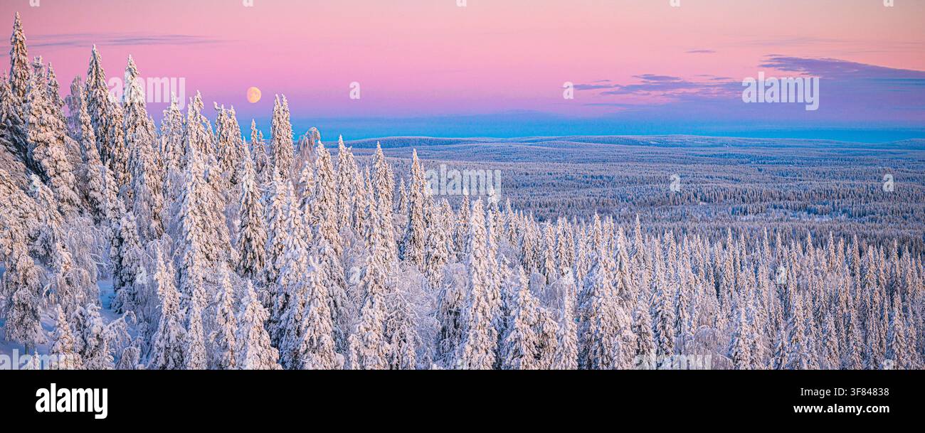 Alba rosa brillante con luna piena sopra la taiga ghiacciata nel paesaggio invernale della Finlandia Foto Stock