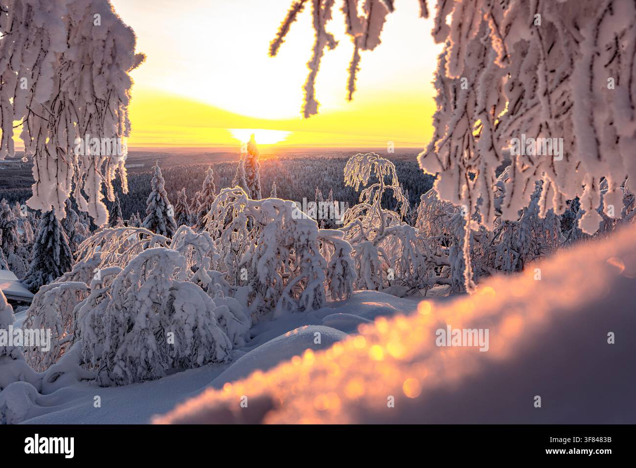 Una foresta innevata ghiacciata cattura la luce dell'alba in Finlandia con alberi coperti di bianco e un caldo bagliore che riempie il cielo Foto Stock