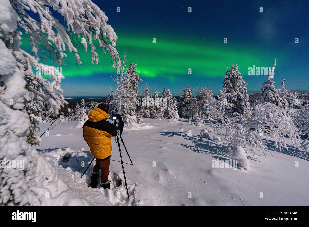 Un escursionista cattura l'aurora boreale in una foresta innevata di notte in Finlandia con un treppiede vicino a Ruka Foto Stock