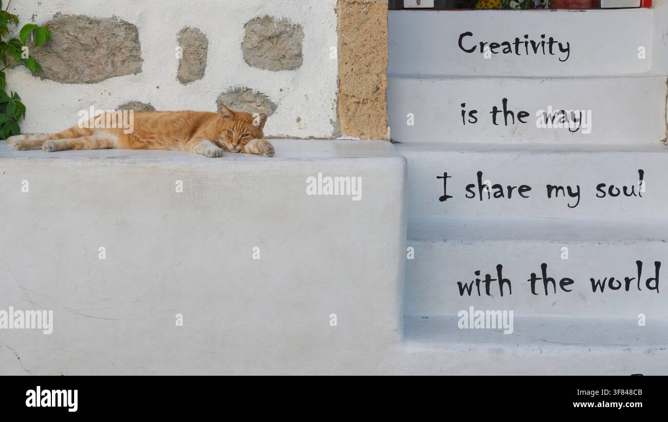 Gatto che riposa su una scala con testo creativo sul muro a Skala, Patmos, Isole Dodecaneso, Grecia Foto Stock