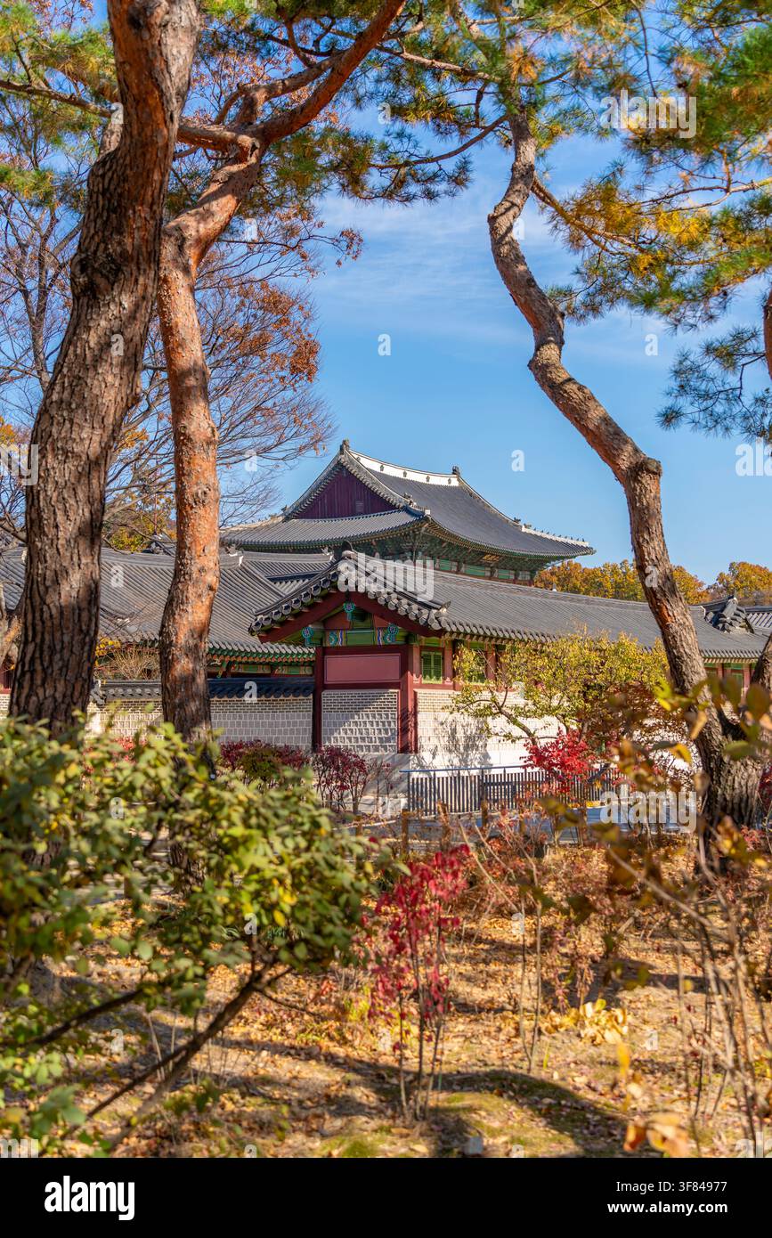 Vista del palazzo di Changdeokgung in una giornata di sole con alberi in primo piano, che mostra l'architettura tradizionale coreana Foto Stock