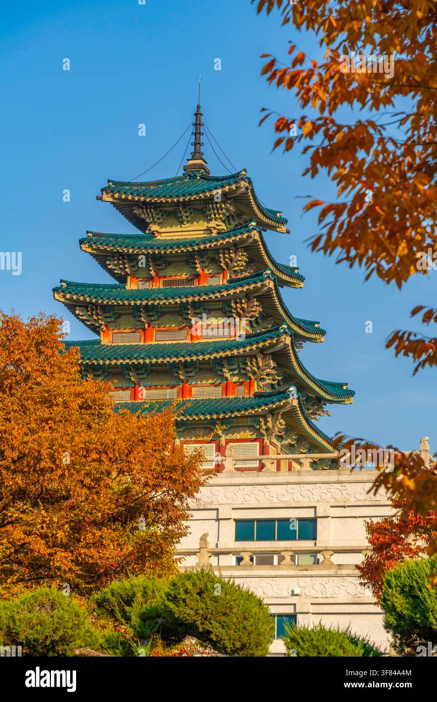 Visita al Museo Nazionale del Folklore della Corea nel palazzo Gyeongbokgung durante l'autunno a Seoul, Corea del Sud Foto Stock