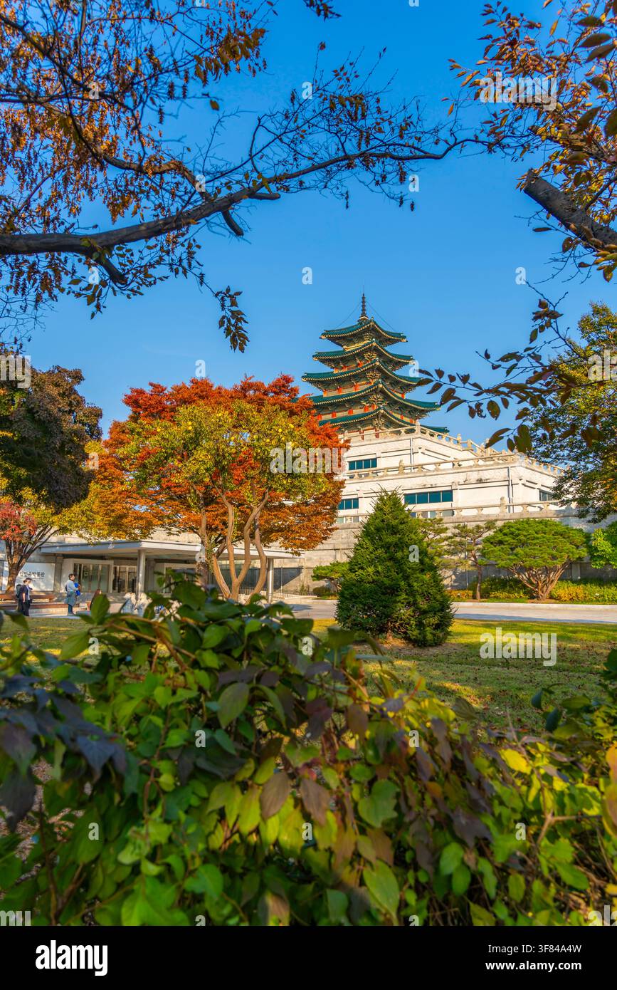 Visita al Museo Nazionale del Folclore della Corea in autunno al Palazzo Gyeongbokgung in una giornata di sole a Seoul Foto Stock