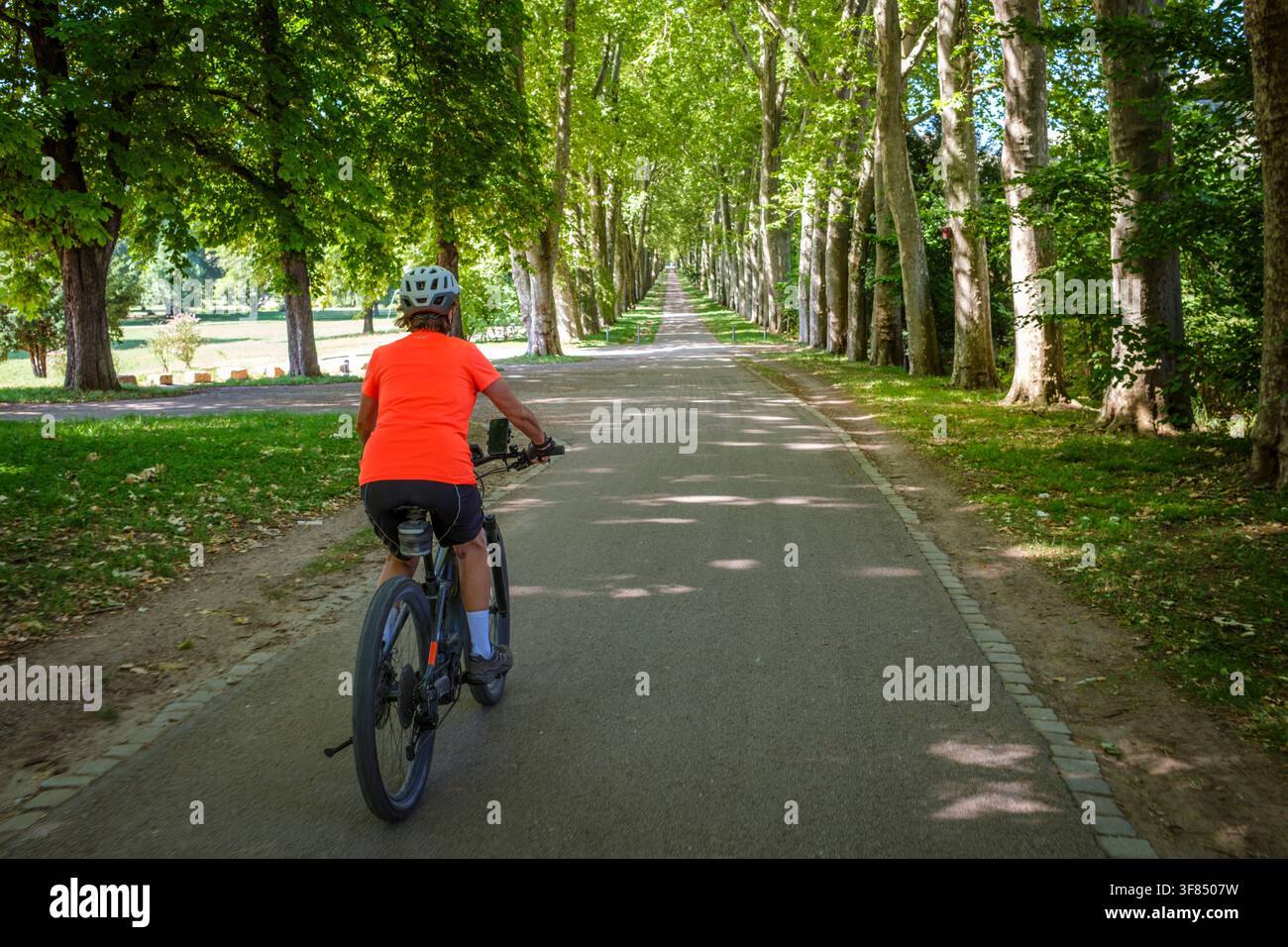 Ciclista femminile in bicicletta lungo un tranquillo viale boschivo circondato da alberi verdi lussureggianti e luce solare screziata. Stoccarda, Baden-Württemberg, Germ Foto Stock