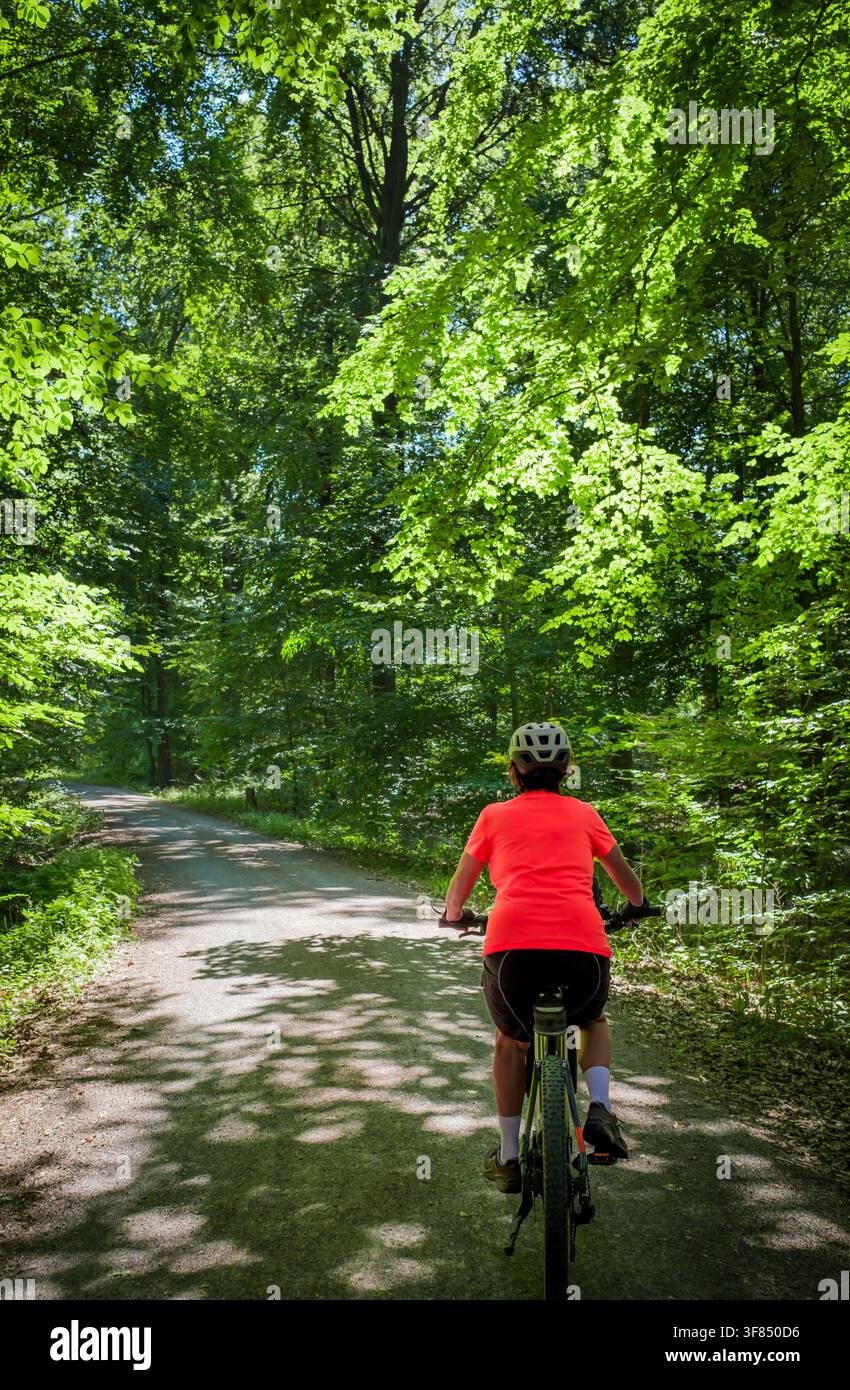 Ciclista femminile in bicicletta lungo un tranquillo viale boschivo circondato da alberi verdi lussureggianti e luce solare screziata. Stoccarda, Baden-Württemberg, Germ Foto Stock
