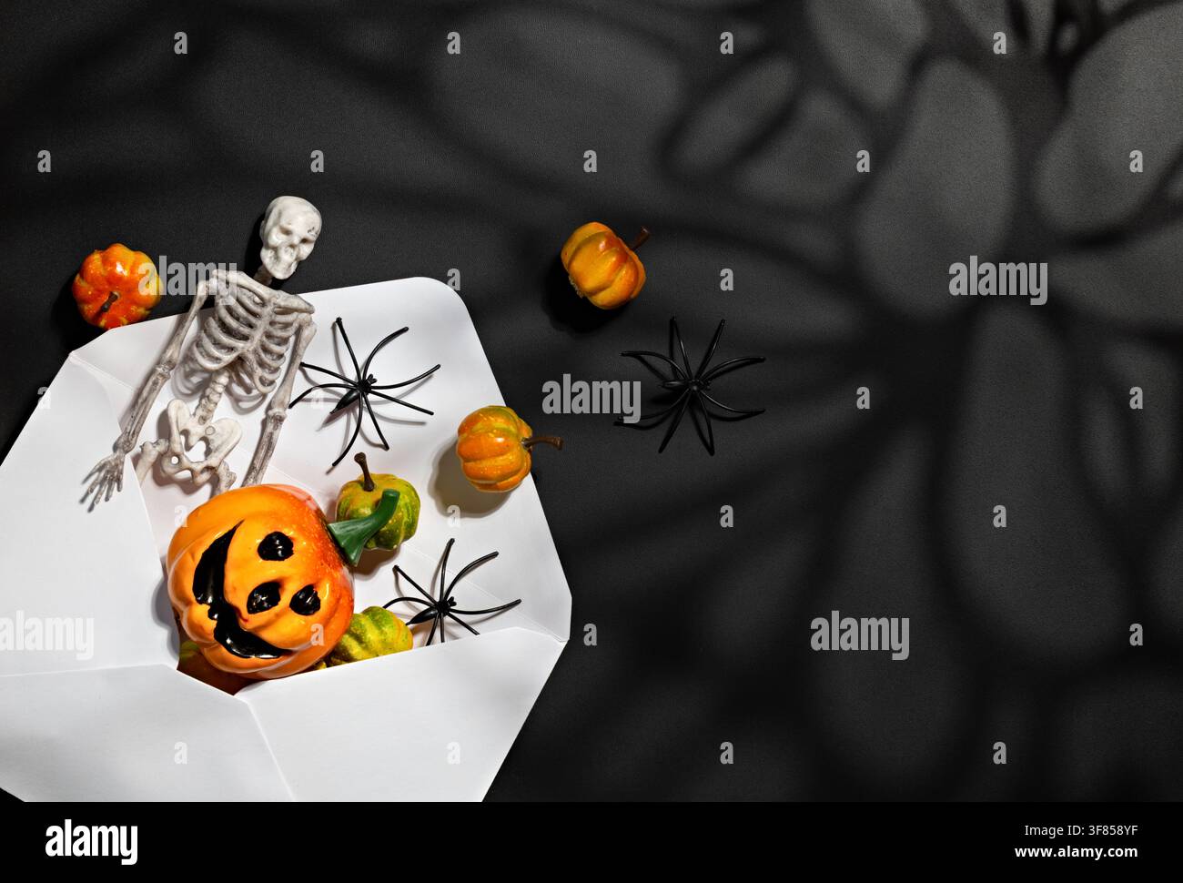 Busta Halloween con scheletro, zucche, ragni e ombra di ragnatela gigante per banner horror oscuro con spazio per il testo Foto Stock