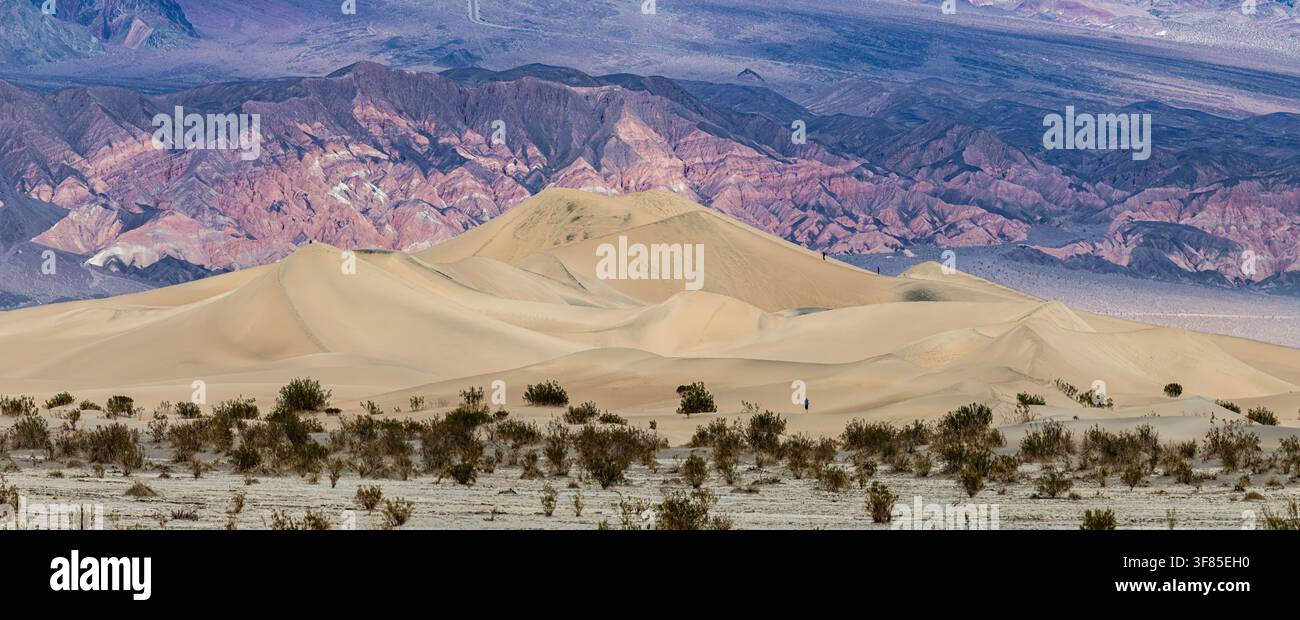 Dune di Mesquite nel parco nazionale di Death Valley durante l'ondata di caldo estiva. Foto Stock