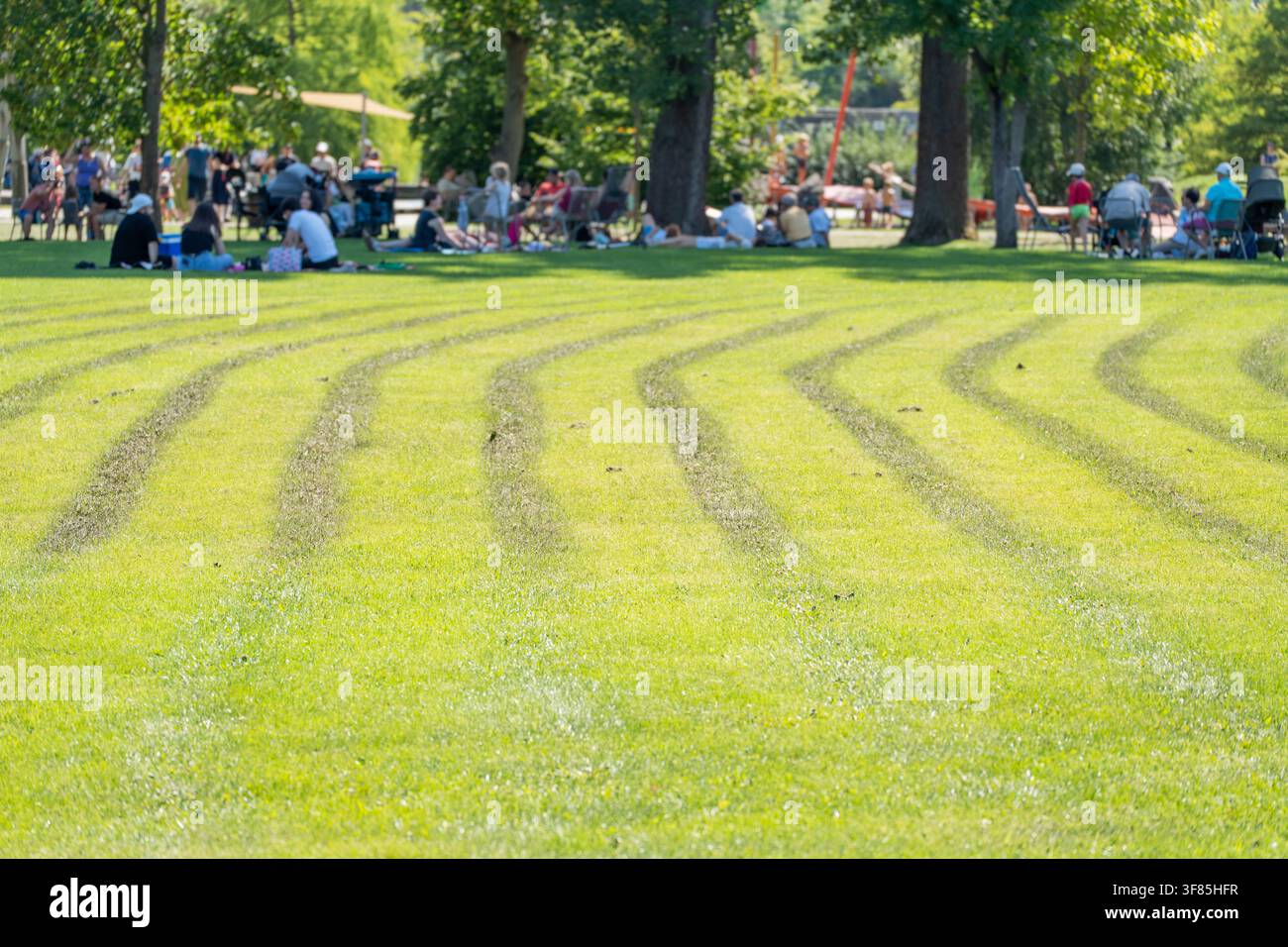 Le strisce curve del tagliaerba si ondulano su un prato illuminato dal sole in primo piano. Folle sfocate in picnic si rilassano sotto gli alberi ombrosi del parco più avanti. Foto Stock