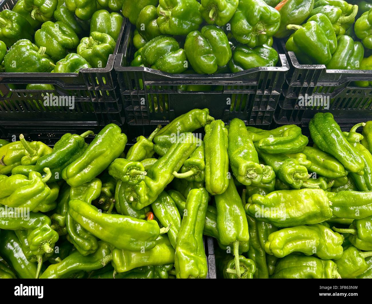 Peperoncini freschi e peperoni verdi in un banco di fattoria, USA. Foto Stock