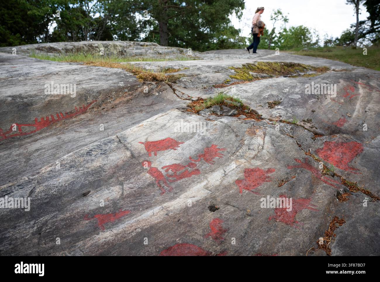 Il motivo di incisione rupestre “La Coppia Sposata e il Branco di Maiali” sul pannello roccioso di Hemsta fuori Enköping sembra riflettere una storia dall'Odissea di Omero Foto Stock