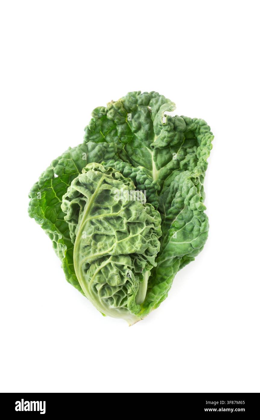 Vista dall'alto della Brassica oleracea var. sabauda intera su sfondo bianco. Foto Stock