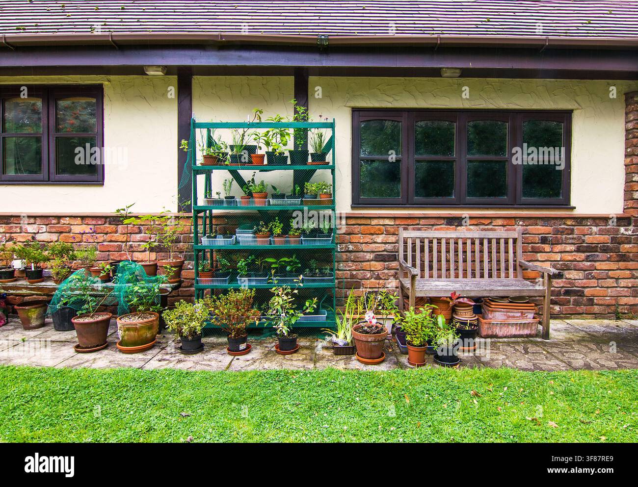 Una scena di giardinaggio nel cortile con piante in vaso, una mensola per piantine verde a più livelli e una panca di legno consumata. Foto Stock