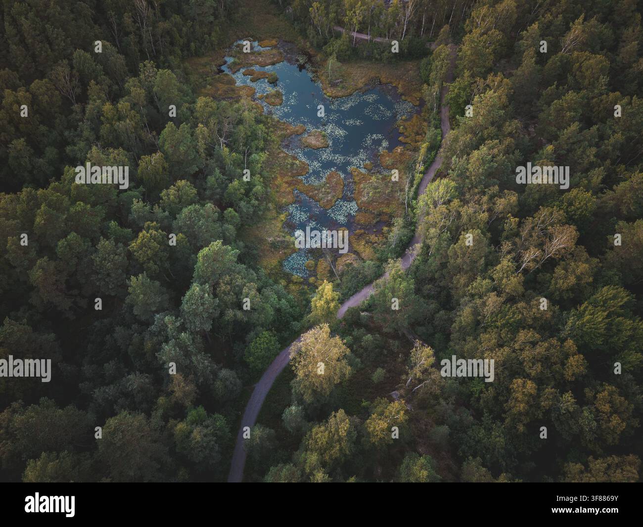 Vista aerea di un piccolo stagno incastonato nella fitta foresta delle montagne Anggard con un sentiero tortuoso che attraversa gli alberi a Göteborg, Vast Foto Stock