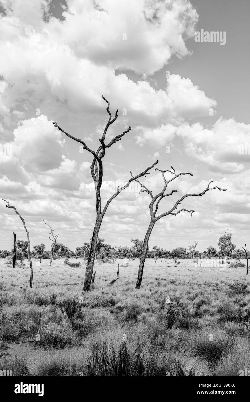 Outback, Australia - 16 aprile 2025: Paesaggio arido nel Parco Nazionale di Uluru Ayers Rock nel cuore del Red Centre arido del Territorio del Nord, Uluru - Foto Stock