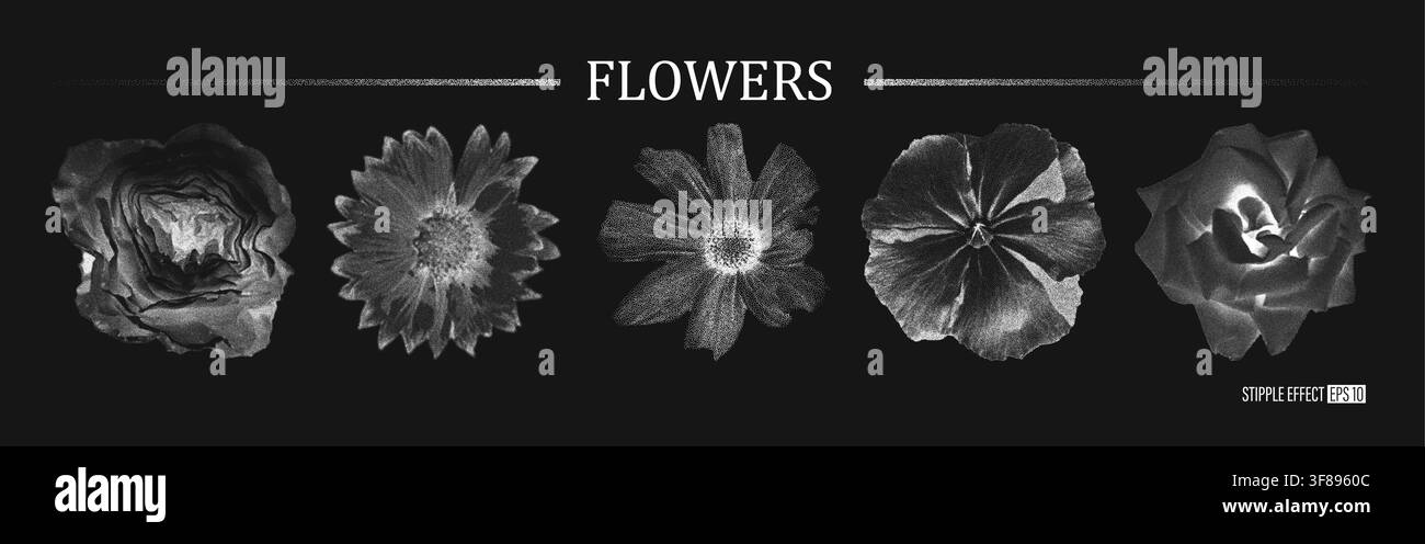 Effetto fotocopia retrò set botanico fiori puntinati con grana, texture grunge mezzitono. Elementi di collage vintage bianchi Y2K per un design floreale alla moda Illustrazione Vettoriale