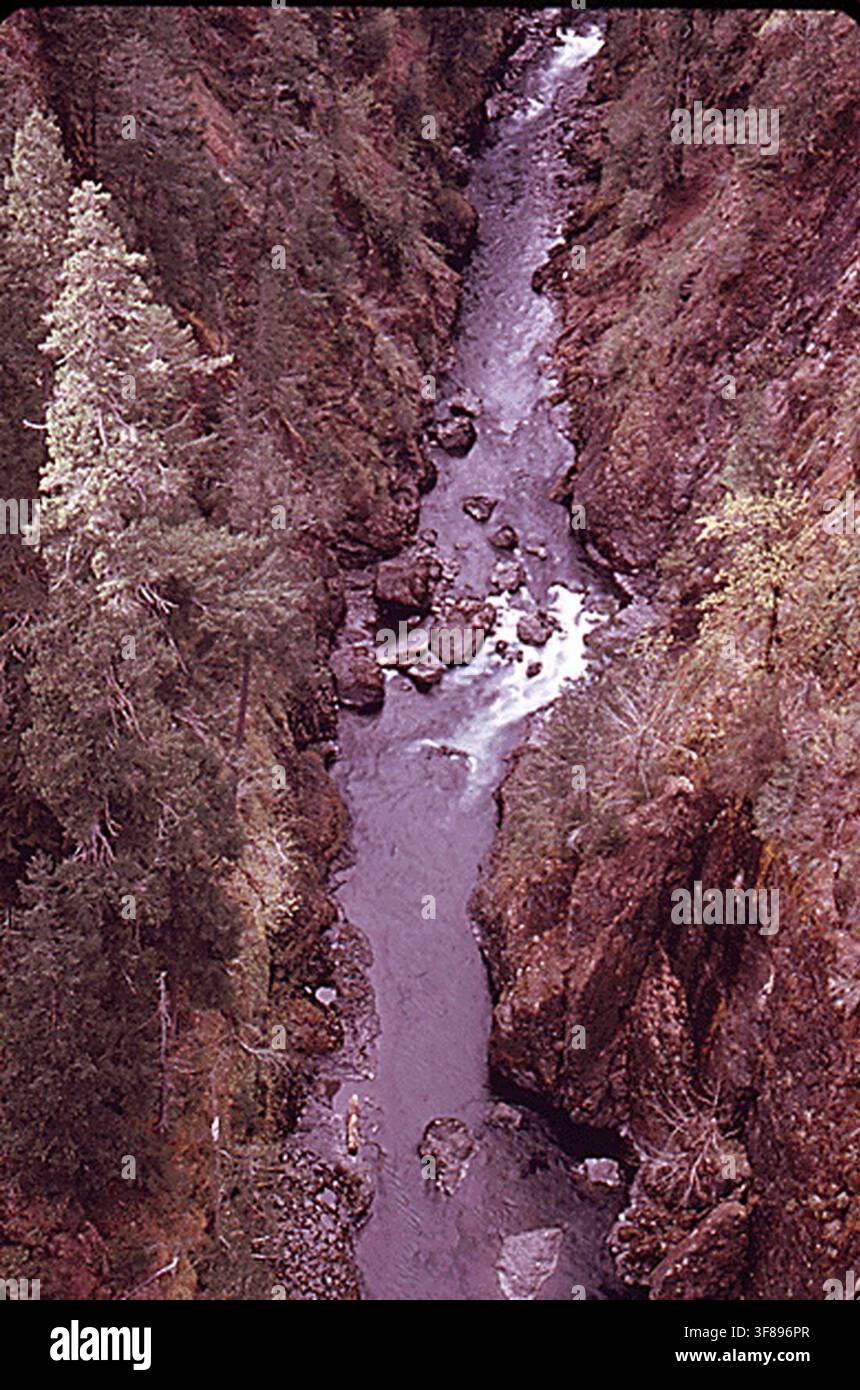 Il fiume Skokomish nell'Olympic National Timberland, Washington, vicino al Parco Nazionale Olimpico, fotografato nel 1973 nell'ambito del programma DOCUMERICA dell'Environmental Protection Agency per documentare le problematiche ambientali. Foto Stock