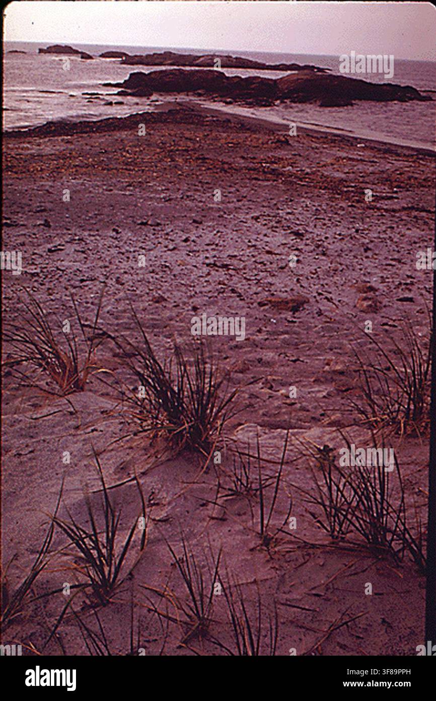 Little Compton Beach sul Rhode Island Sound, una fotografia che documenta preoccupazioni ambientali, scattata il 1 giugno 1973 come parte del programma DOCUMERICA dell'Environmental Protection Agency. Foto Stock