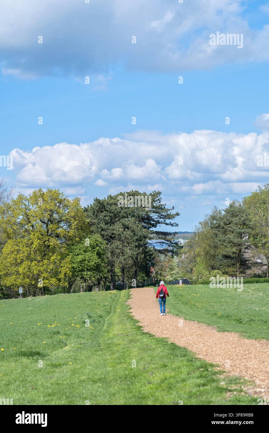 Un camminatore solitario che segue un sentiero panoramico nel parco – Roskilde, Danimarca. Foto Stock