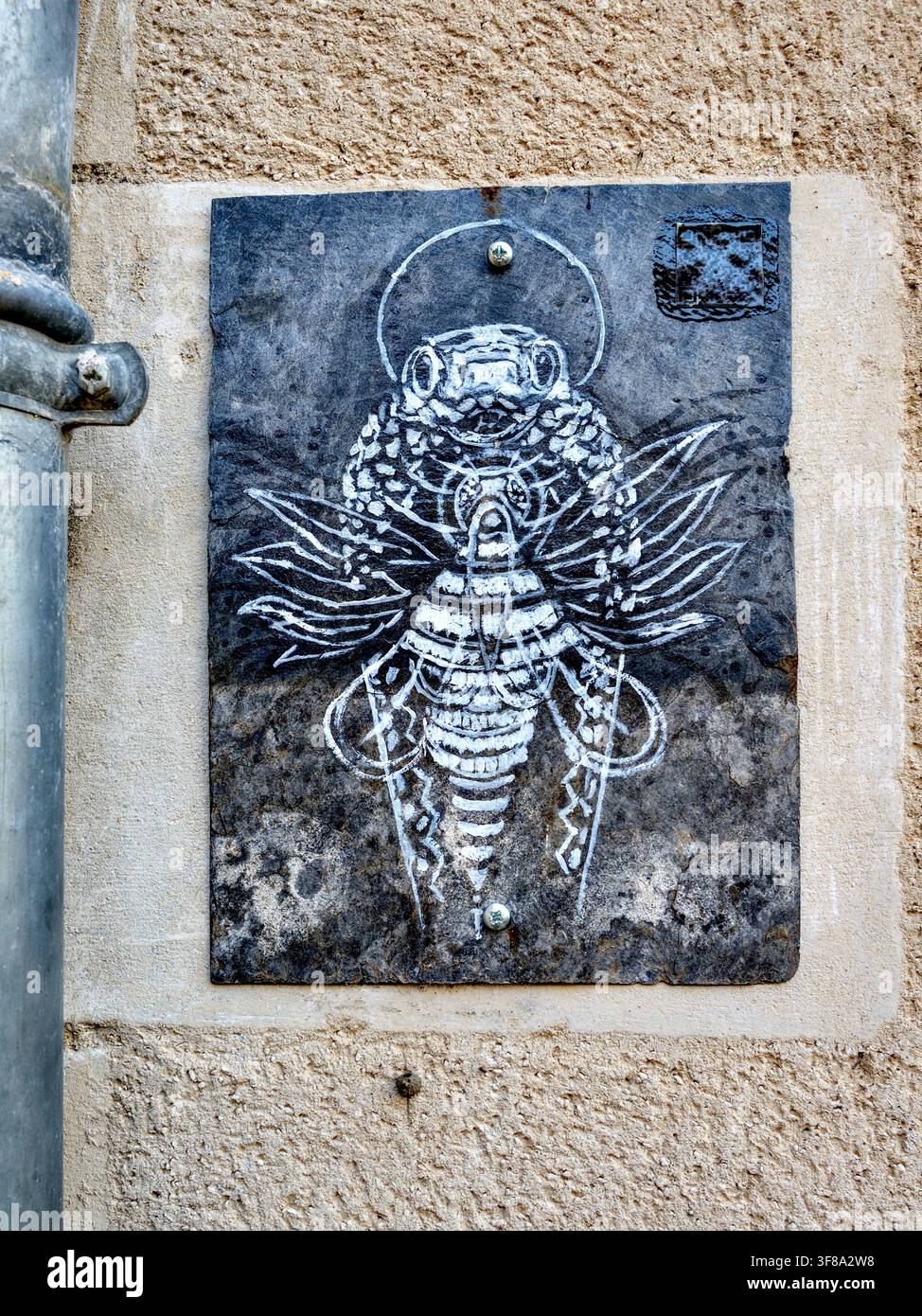 Opera d'arte monocromatica di un insetto dipinto su vecchio ardesia del tetto sulla parete di una casa a Montmorillon, Vienne (86), Francia. Foto Stock