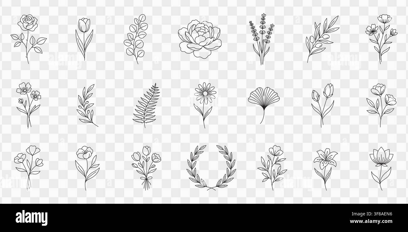 Set vettoriale minimalista di arte floreale botanica con eleganti fiori e foglie Illustrazione Vettoriale