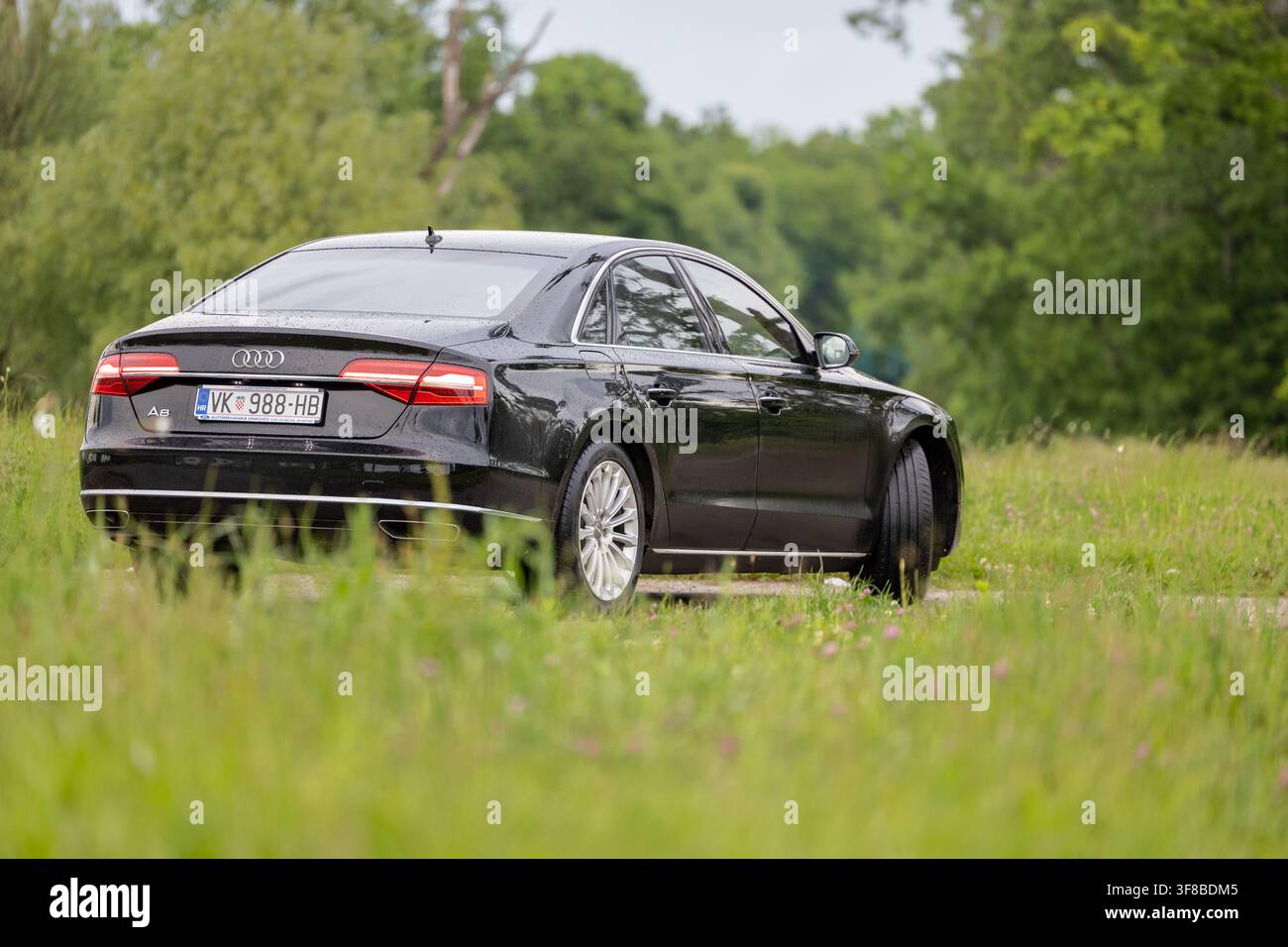 Vinkovci, Croazia – 15 maggio 2026: Berlina di lusso Audi A8 nera parcheggiata in un campo erboso di campagna dopo la pioggia, con carrozzeria bagnata e superficie riflettente Foto Stock