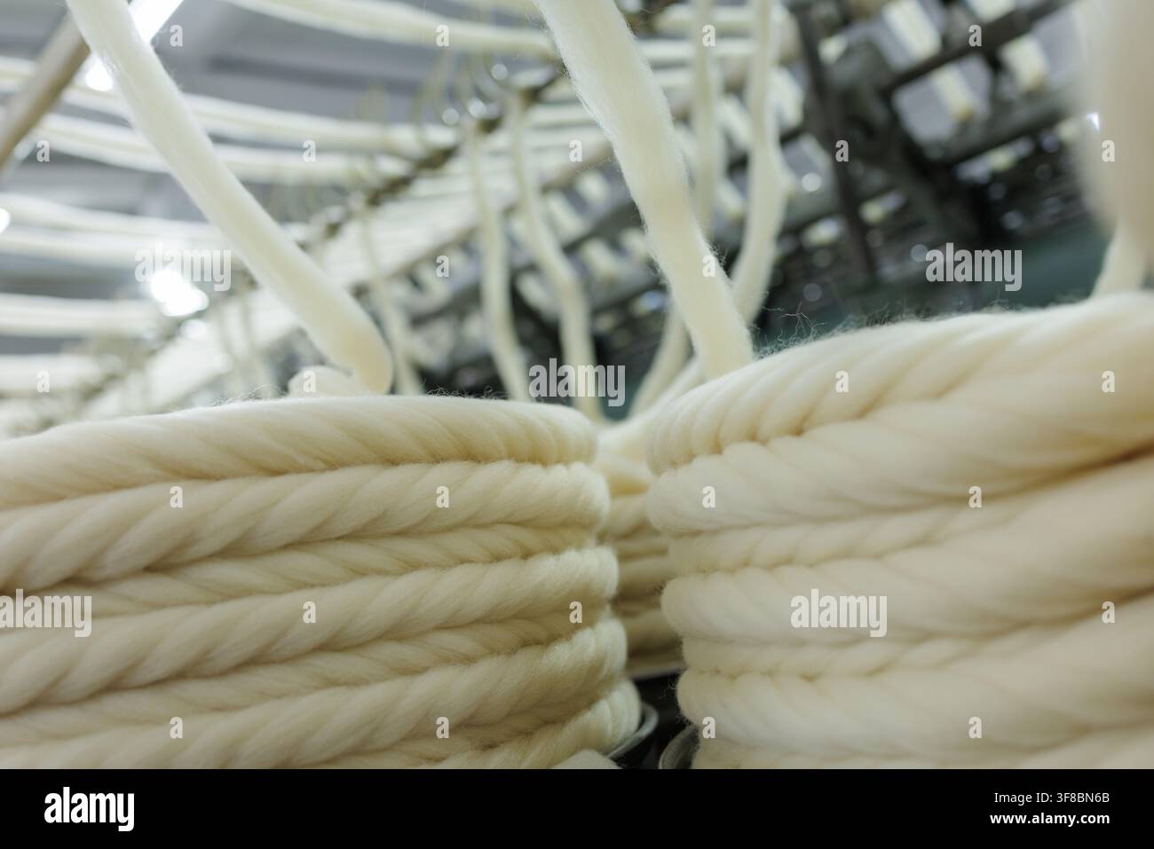 Spessi filoni di lana merino sono avvolti in bobine e trascinati verso l'alto in una filatura industriale all'interno di una fabbrica tessile specializzata nella produzione di filati e Foto Stock