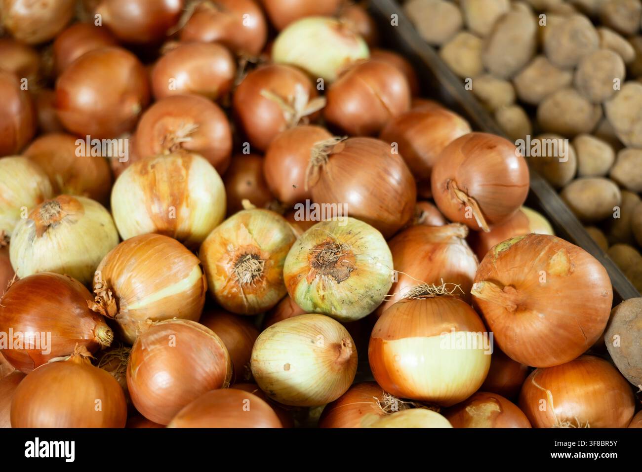Vista ravvicinata delle cipolle immesse nella scatola sul mercato Foto Stock
