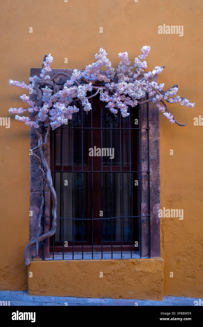 Finestra decorativa adornata con rami fioriti su un edificio storico a San Miguel de Allende, Guanajuato, Messico, con spazio libero Foto Stock